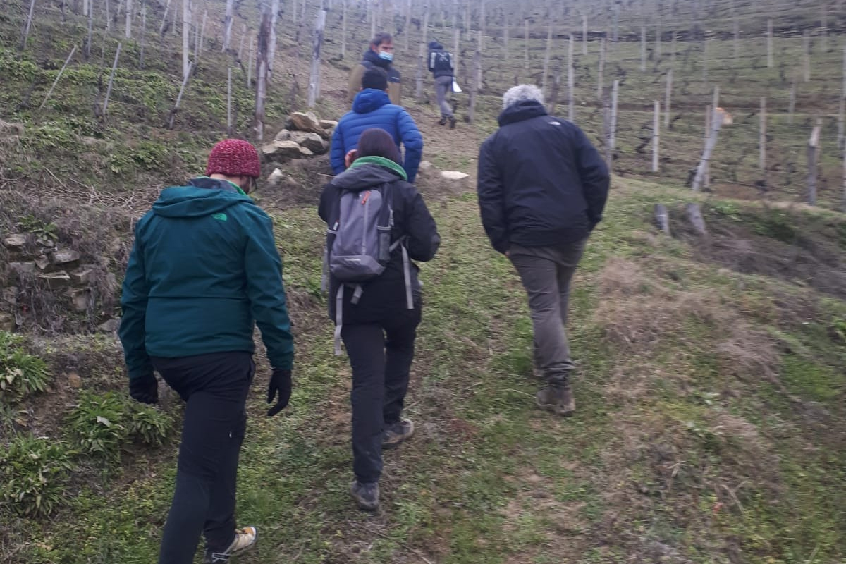 Sopralluogo in vigna della Commissione Sorì.